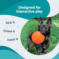 Jolly Pets Bounce-n-Play Dog Toy Ball, 8 Inches/Large, Orange, (Model: 2508 OR)