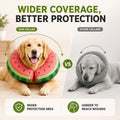 MIDOG Soft Inflatable Dog Cone, Donut E-Collar Alternative for After Surgery, Prevents Licking, Allowing Normal Eating & Vision, Comfortable Recovery Collar for Small Medium Large Dogs & Cats, Red-M