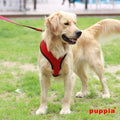 Authentic Puppia Soft Dog Harness