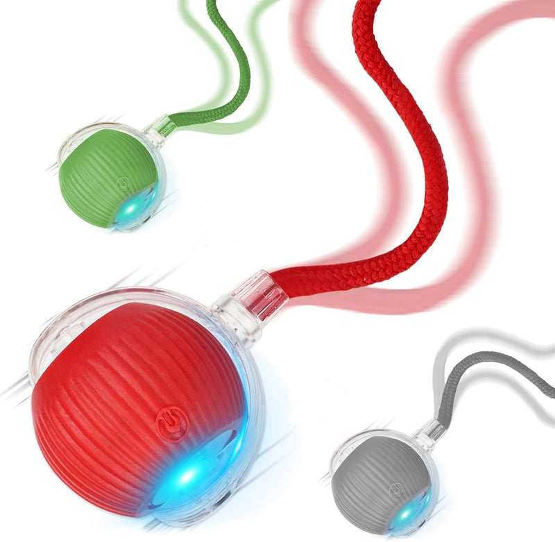 Goosheep 2025 New 3Pack Cat Ball Kitten Toys for Indoor Interactive Kitty Ball Toy Speedy Tail 360° Automatic Rolling(Re