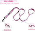 QQPETS Dog Harness Leash Set Adjustable Heavy Duty No Pull Halter Harnesses for Small Medium Large Breed Dogs Back Clip 