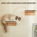 LIORCE 2 Set Cat Wall Steps - Wooden Cat Climbing Shelf for Wall - Cats Wall Stairs with Scratching Mat - Wall Mounted Cats Furniture for Jumping, Playing, and Lounging