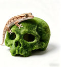 Mossy Skull Terrarium Ornament 4.5" Realistic Reptile Habitat Decor