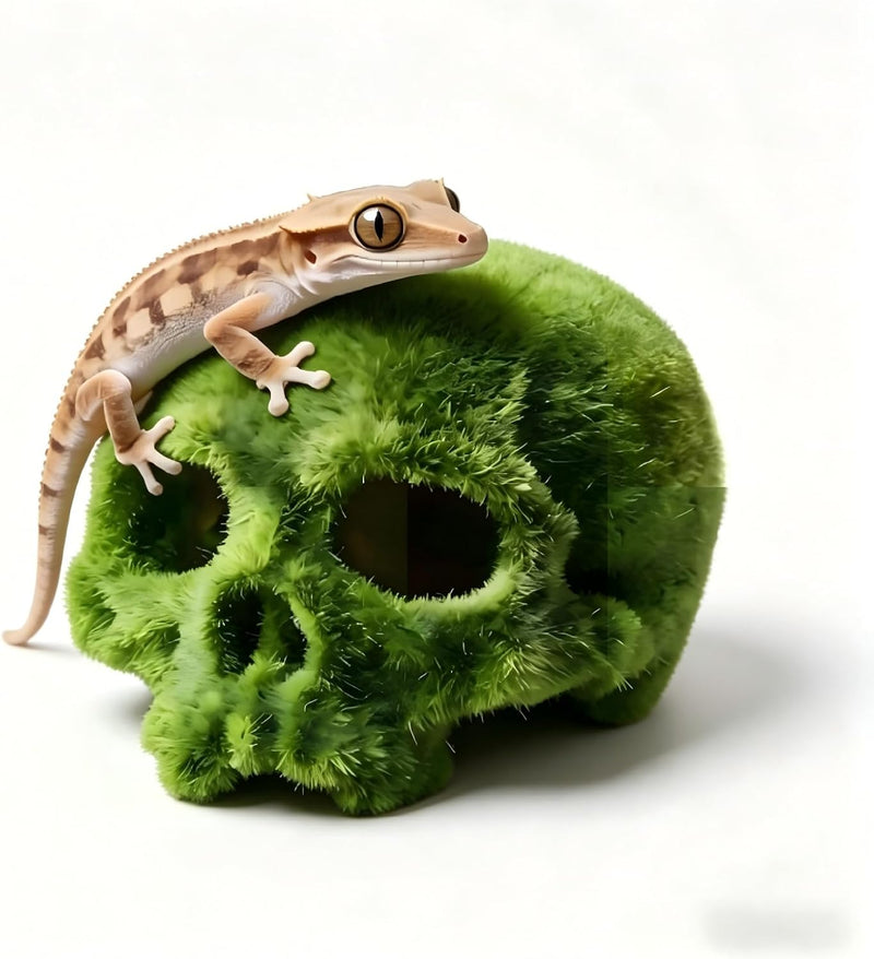 Mossy Skull Terrarium Ornament 4.5