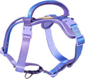 DF Freedom No Pull Martingale Dog Harness, Gentle Control for No Choking, Front Clip Harness with Reflective, Adjustable