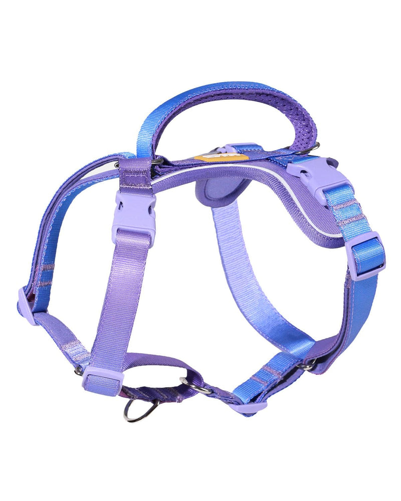 DF Freedom No Pull Martingale Dog Harness, Gentle Control for No Choking, Front Clip Harness with Reflective, Adjustable & Padded Handle for Easy Walking & Training, Rainbow, 1