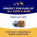 Omega 3 Fish Oil for Dogs - Skin & Coat Support, Itch & Allergy Relief