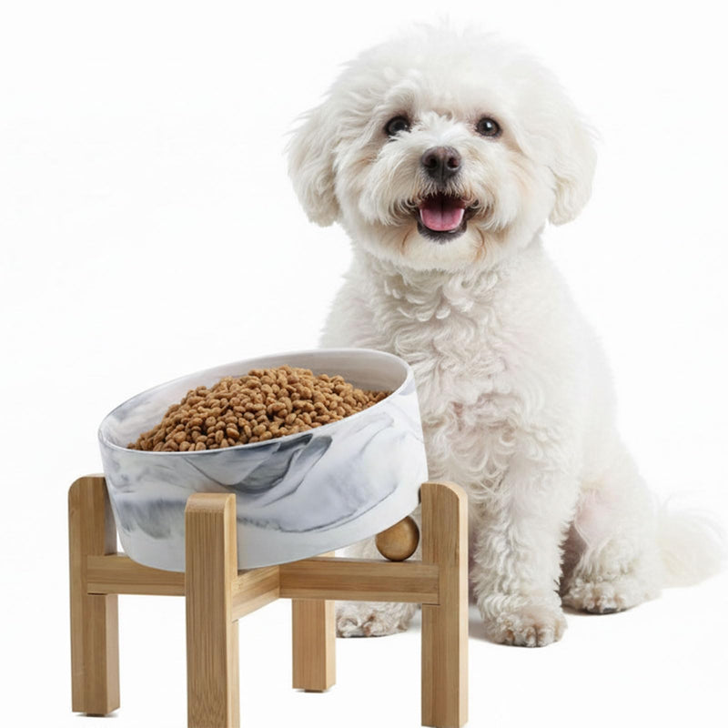 hjn Elevated Ceramic Dog Bowl 15°Slanted Raised Dog Bowl with Bamboo Stand for Small Medium Dogs and Cats, Pet Feeder -3.6-Cup (850ml)-Marble Gray