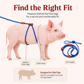 Pig Harness & Leash, Escape Prevention Adjustable Rope, All in One Design, All Life Stages Small to Medium Mini Pigs-5 F