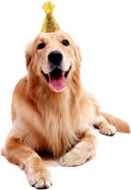 10 Pcs Dog Birthday Hat Set for Small Medium Dogs Cat Puppies, Mini Party Hat with Adjustable Headbands, Cute Pet Hat wi