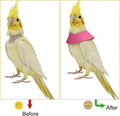 Anti-Bite Elizabethan Collar for Budgerigar Lovebird Cockatiel Cockatoo Parrots Hamster, Recovery Cone Bird Collar, Anti