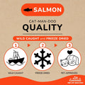Life Essentials by Cat-Man-Doo | Salmon - 5oz. Bag | Freeze Dried Salmon Cat & Dog Treats | Healthy, Single Ingredient, Training Treats, High Protein
