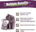Amber NaturalZ Kitty-DT Digestive Rescue Herbal Supplement for Cats | Supports Normal Digestive Function and Occasional Gastric Upsets | Natural Aid for Gastrointestinal Health 1 Fluid Ounce