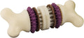 PetSafe Busy Buddy Bristle Bone Dog Treat Holding Chew Toy, Medium