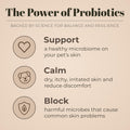 SKOUT'S HONOR Probiotic Grooming Essentials Bundle
