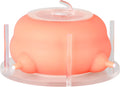 Puppy Feeder for Multiple Puppies, Pet Milk Feeder with Silicone Dog Nursing Station of 4, Puppy Milk Replacer for Puppi