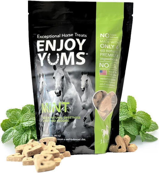 Mint Horse Treats – 1 lb Bag – All-Natural, Low Sugar, Heart-Shaped Baked Biscuits – Peppermint & Honey Flavor – Vet-End