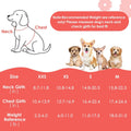 SlowTon No Pull Dog Harness with Leash - Soft Lightweight Floral Pattern Puppy Harness, Adjustable Pet Harness for Small Medium Dogs (Pink Daisy XXS)