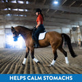 Gastric Support Supplement for Horses | Relieves Ulcers, Calming Supplement, Magnesium & Other Vital Minerals | Powder, 