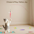 YULOYI Cat Toys for Indoor Cats, 13 Packs Interactive Cat Wand Toy Set with Feather Toys & Teasers, Fun Cat Toys for Exercise, Playtime and Boredom Relief