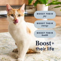 Instinct RawBoost, Dry Cat Food + Freeze Dried, Real Chicken, 10 lb Bag