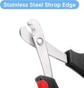Bearded Dragon Nail Clippers with Precise Angled Edges