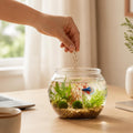 Mini Plastic Fish Bowl 30 oz Round Tabletop Aquarium Decorative