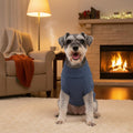 MengMengDa Small Dog Sweater, Soft Knit Dog Clothes for Spring Transition, Lightweight Puppy Outfit for Pomeranian, Yorkie, Chihuahua; Stylish Doggy Apparel for Spring Morning Walks (Dark Blue, M)