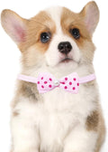 PET SHOW Cute Bow Ties Collar for Small Dogs Puppy Cats Adjustable Bowties Neckties Pet Grooming Accessories Assorted Ra