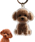 Dog Hair Collector Keychain for Pet Memorial, Cute Poodle Capsule