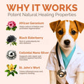 Hot Spot & Itch Relief Skin Cream for Dogs & Cats | Fast & Lasting Relief | Treats the Source | Natural Ingredients & Co