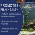 Large 18mm Algae Wafer - Algae Wafers for Bottom Feeders - The Best Pleco Wafers & Pleco Food Available - Algae Wafers f