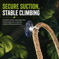 8-Foot Reptile Vines, Flexible Jungle Climber Habitat Decor