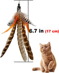 TIENAILING Cat Feather Toys Refills, 6 Pieces Handmade Da Bird Feathers Refill, Cat Wand Replacement Feather for Indoor Cats (B)
