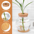 POPETPOP Desktop Glass Fish Bowl - Round Small Fish Tank