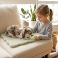 2 Pack Rabbit Mat, Soft Plush Bunny Bedding with Non-Slip Bottom, Washable Fluffy Guinea Pig Cage Liner, Small Pet Sleep