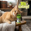 Smokey's Stash Catnip for Cats, 3 Resealable Pop Top Cans, North American Grown, 100% Natural, Encourages Play and Activ