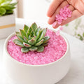 50/100/200Pcs Pink Glow Stones, Glowing Garden Pebbles Garden Bonsai Decoration