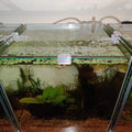Weilan Rimless Aquarium Lid Clips 8mm Thick Acrylic 12 Pieces