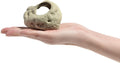 ALEGI Aquarium Decoration Rock Caves, Betta Fish Tank Accessories