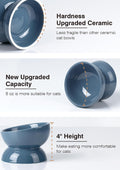 ABRUTY Cat Water Bowl, 16 OZ Ceramic Elevated Cat Bowls, 15° Tilted and Raised Pet Food Dish, Anti Vomiting Protect Pets