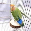TOLMIOW 9-Piece Parrots Chewing Toy Set - Natural Wood & Rope Bungee Toys for Anchovies, Coconut Hideaway with Ladder, Bird Perch Stand, Cage Accessories for Parakeets, Cockatiel, Conure, Mynah, Macaw