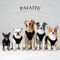 Discover Cozy Cotton Canine Wear: Breathable Soft, and Lightweight Dog Shirt Vest with Eye-Catching Graphics(GOD GOT ME)