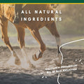 Corta-Flx U-Gard Pellets for Horses, Digestive Supplement, 10 lb Bucket