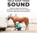 REDMOND Red Edge Equine Poultice, (Simply Clay) Natural Soothing Clay for All Horse Breeds