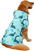 HDE 2-in-1 Reversible Dog Raincoat Hooded Poncho Rain Jacket Teal Dino XL