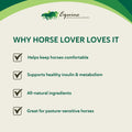 HEIRO Healthy Equine Nutritional Supplement for Horses, Herbal Blend with Magnesium and Vitamin E, Daily Metabolic Suppo