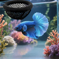 Laoha 2 PCS Floating Betta Hammock & Shrimp Shelter – 3D Printed Aquarium Decor with Feeding Ring, Safe Resting Spot for