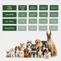 DermaPrex Dog Allergy Chews – Anti Itch for Dogs | Borage Oil, Omega 3, Vitamin E | Dog Itching Skin Relief, Hot Spot Tr