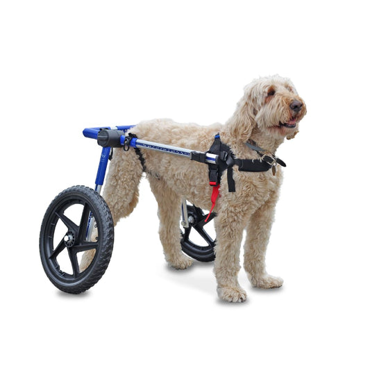 Walkin' Wheels Dog Wheelchair - for Med/Large Dogs 50-69 lbs - Veterinarian Approved - Dog Wheelchair for Back Legs